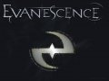 evanescence 1.jpg